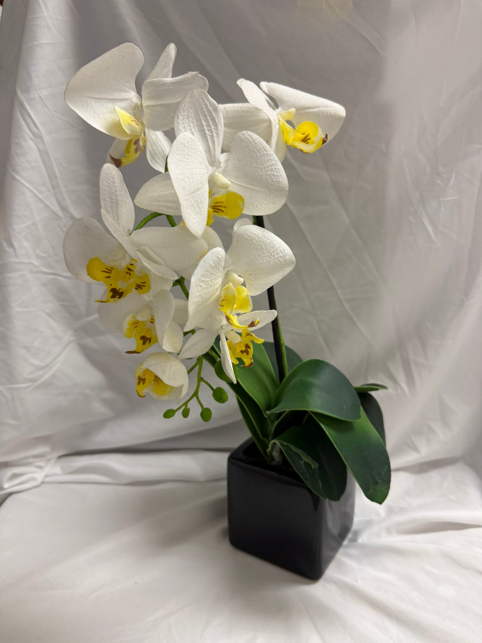 FAUX ORCHID WITH BLACK POT