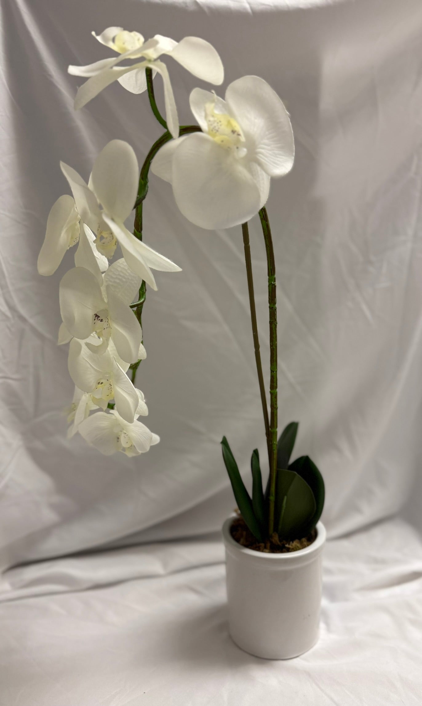 TALL FAUX ORCHID WITH WHITE POT
