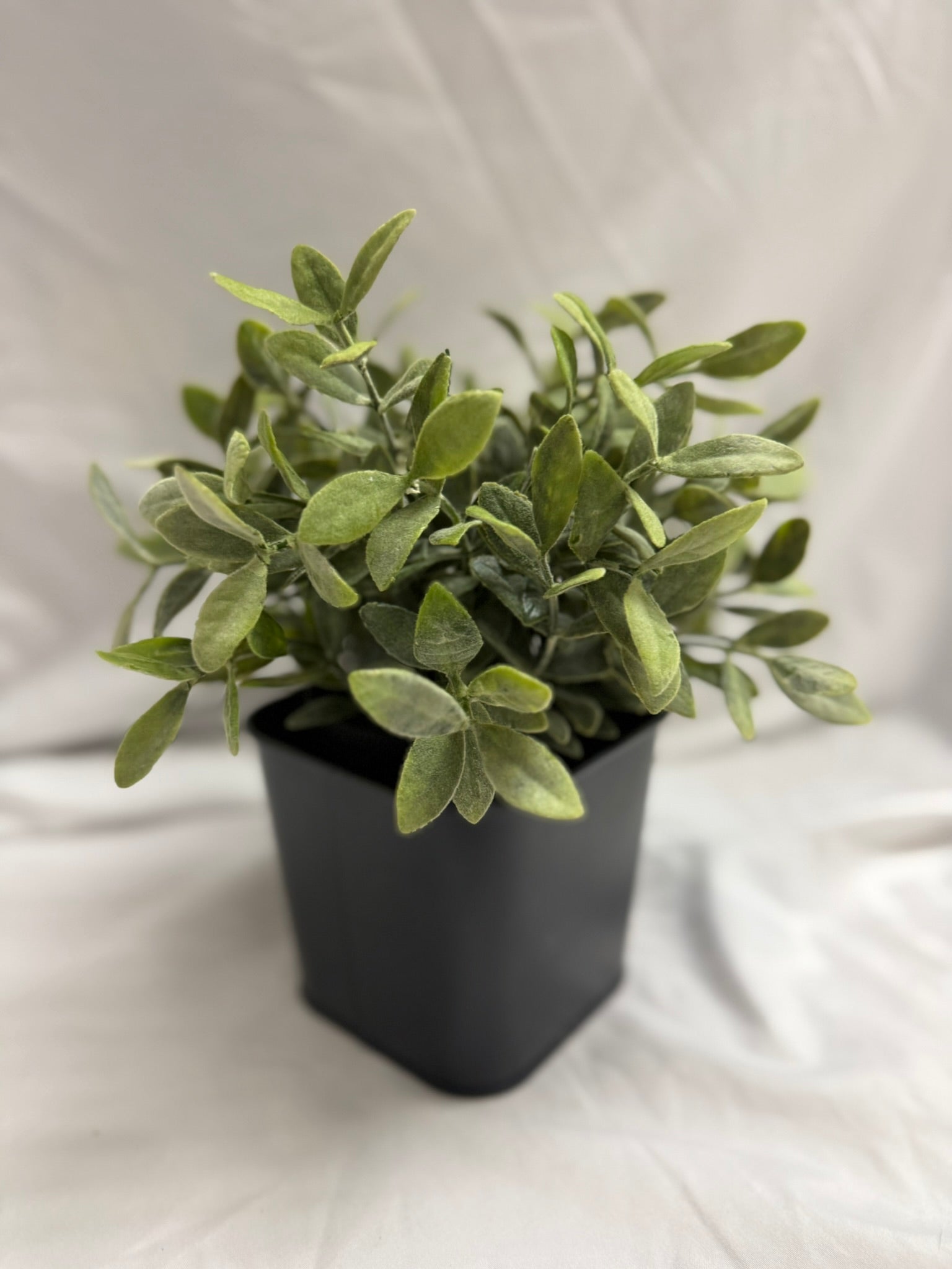 FAUX PLANT IN BLACK SQUARE POT