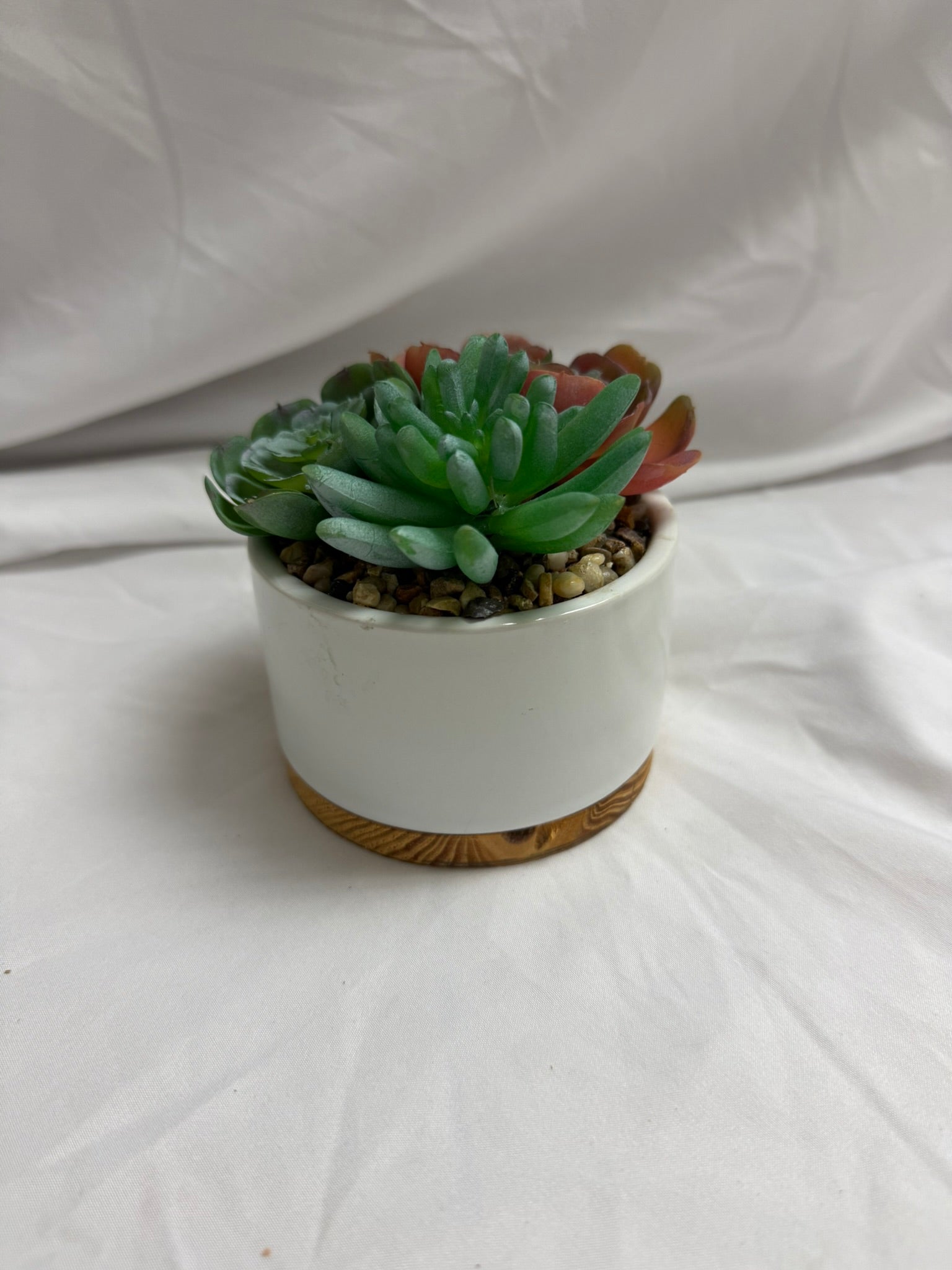 FAUX SUCCULENT WITH WHITE POT