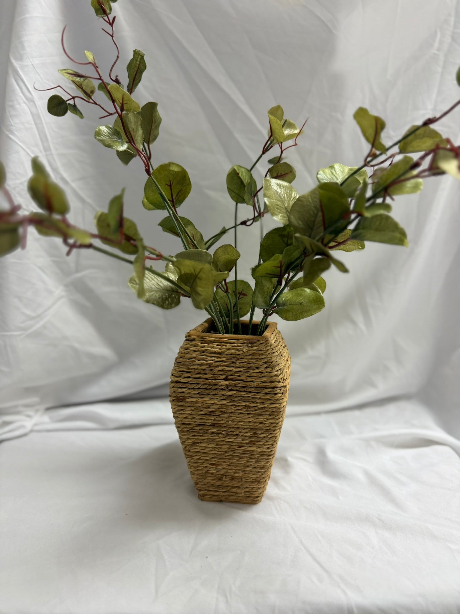 MEDIUM PLANT IN WICKER POT