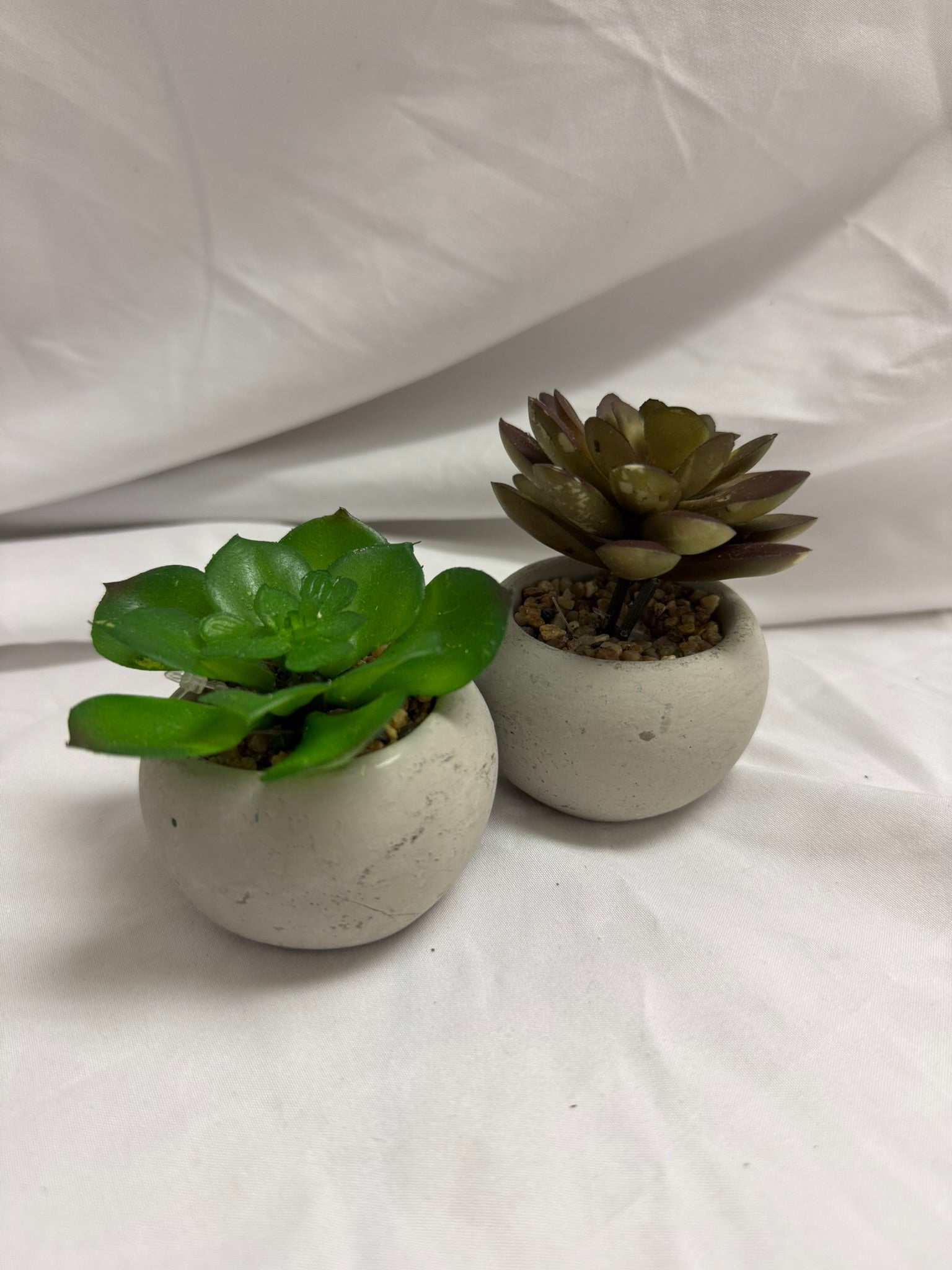 FAUX SUCCULENT IN STONE SET OF 2