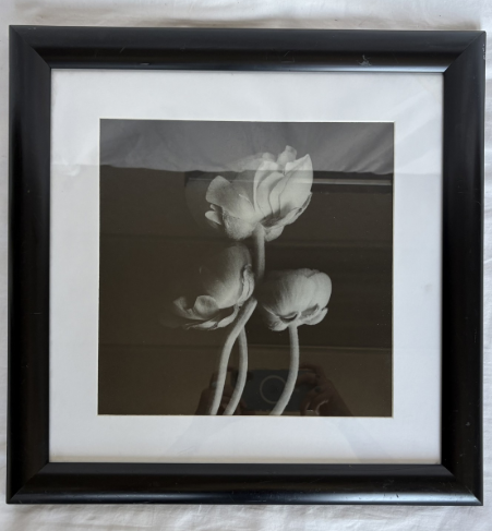 WHITE FLOWERS (BLACK FRAME)
