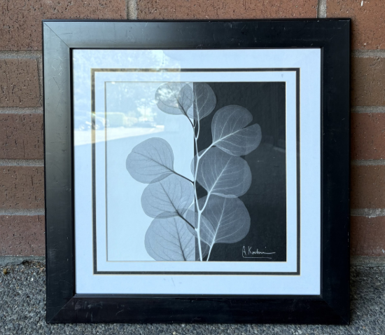 LEAF INSERT (BLACK FRAME)