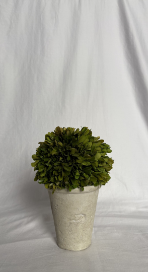 SMALL BUSH WITH PLANTER