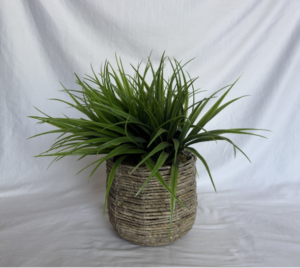 WOVEN BASKET WITH SINGLE PLANT