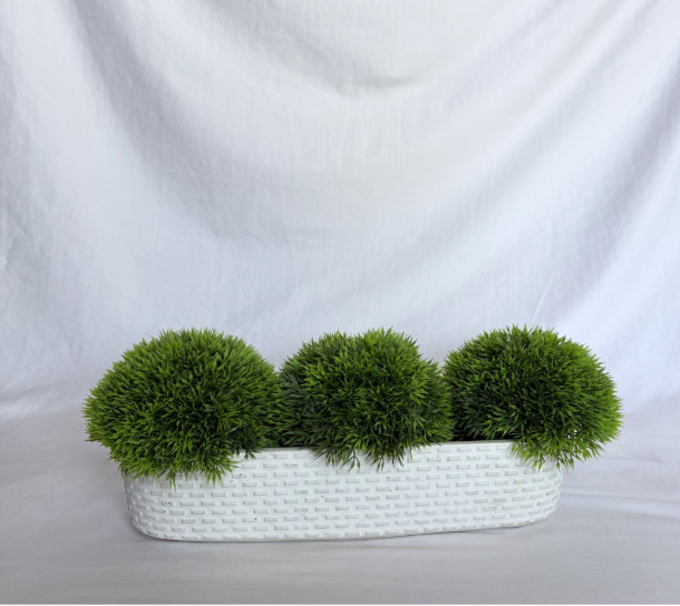 THREE BULBS WITH A WHITE CERAMIC PLANTER