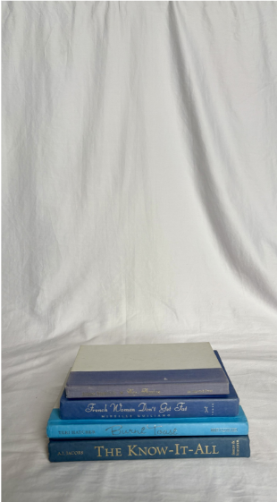 BLUE COLORED BOOKS BUNDLE SET OF 4