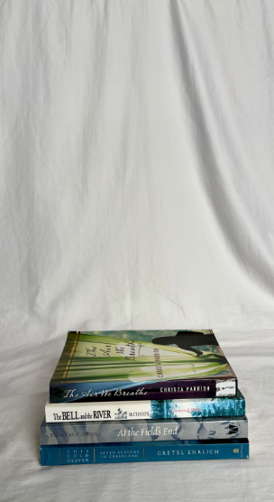 MYSTERIOUS NOVELS BUNDLE SET OF 4