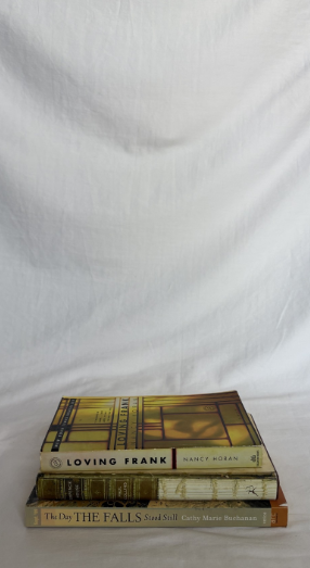FICTION BOOK BUNDLE SET OF 3
