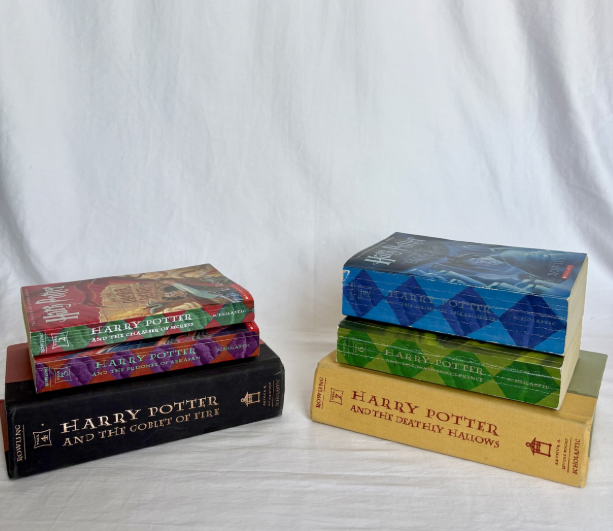 HARRY POTTER SERIES